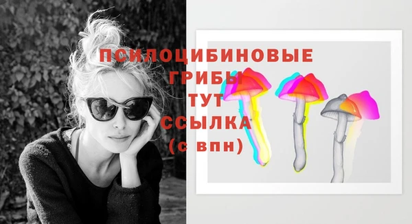 прущая мука Арсеньев
