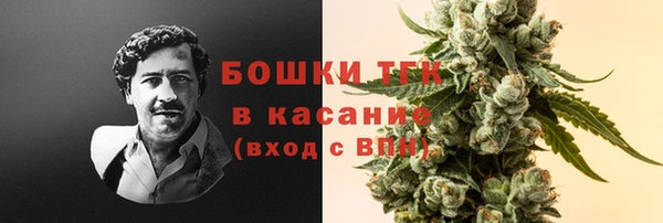 ГАЛЛЮЦИНОГЕННЫЕ ГРИБЫ Баксан