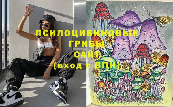 прущая мука Арсеньев