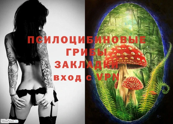 эйфоретик Аркадак