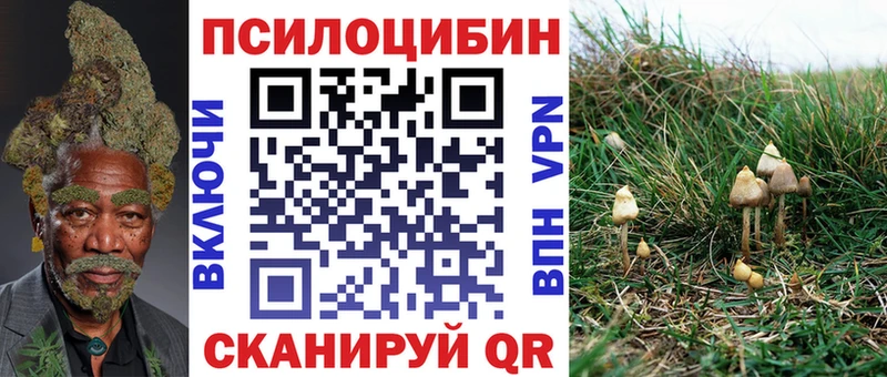 ссылка на мегу ТОР  Новоузенск  Псилоцибиновые грибы GOLDEN TEACHER 